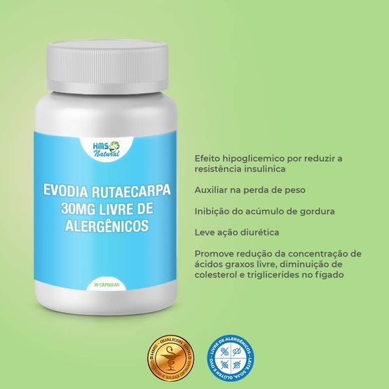 Evodia-Rutaecarpa-30mg-livre-de-alergenicos-30